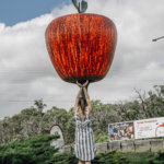 The Big Apple Apple Orchard Tour