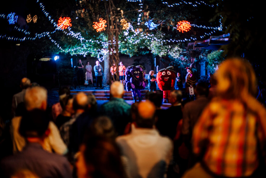 Photo Gallery Stanthorpe Apple & Grape Harvest Festival