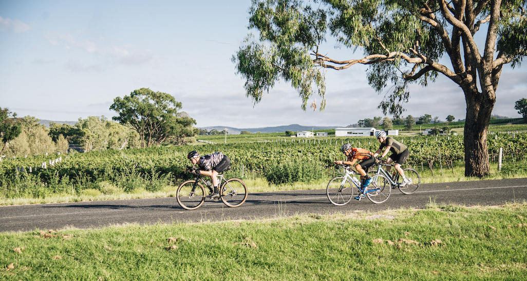 What to Experience - Stanthorpe Apple & Grape Harvest Festival