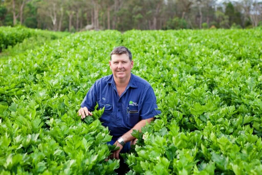 Visit a Granite Belt Vegetable Farm.